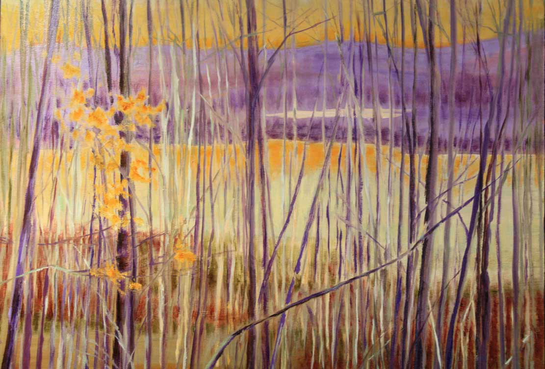 The Trees Around You II